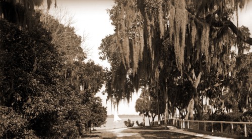 Indian River at Rockledge, Fla, Waterfronts, Roads, United States, Florida, Indian River, 1901