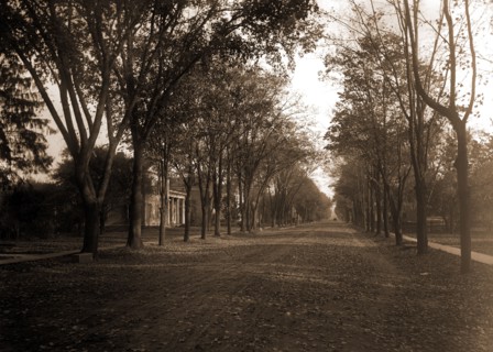 Elizabeth Street, Dansville, N.Y, Residential streets, United States, New York (State), Dansville,