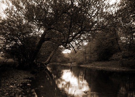 Fishing on the Genegantslet, Smithville Flats, N.Y, Rivers, Fishing, United States, New York
