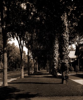 North Broadway, Saratoga, N.Y, Streets, United States, New York (State), Saratoga Springs, 1904