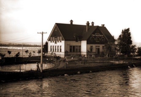 State fish hatchery, Sault Ste. Marie, Mich, Fish hatcheries, Waterfronts, United States, Michigan,