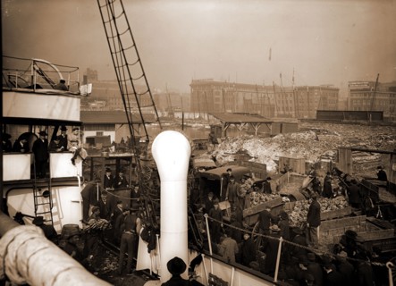 Baltimore, Maryland, unloading banana steamer, Harbors, Bananas, Ships, Shipping, United States,
