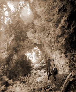 Fairy Arch, Mackinac Island, Mich, Rock formations, Children, Forests, United States, Michigan,