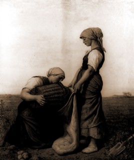 The potato harvest, Breton, Jules, 1827-1906, Harvesting, Women, Employment, Potatoes, 1900