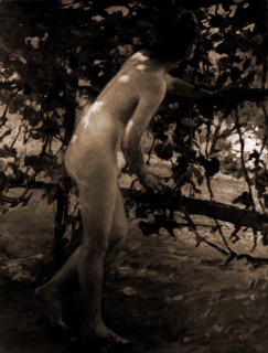 The Bird song, Nudes, Women, 1900