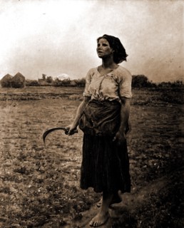 Song of the lark, Breton, Jules, 1827-1906, Women, Employment, Harvesting, 1890