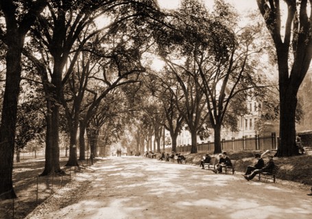 Beacon Street Mall, Boston, Streets, Parks, United States, Massachusetts, Boston, 1899
