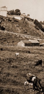 Old Fort Mackinac from the pasture, Forts & fortifications, United States, Michigan, Mackinac