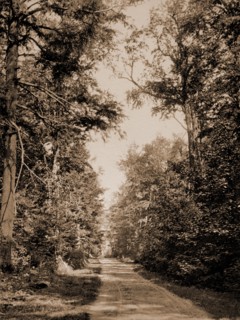 The Drive on Presque Isle Park, Lake Superior, Lakes & ponds, Parks, United States, Michigan,