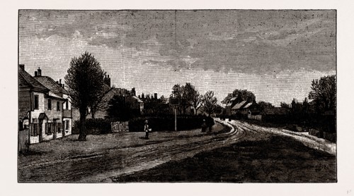 HADLEY GREEN SITE OF THE BATTLE OF BARNET, UK, engraving 1881 - 1884