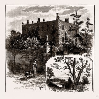 FINCHLEY MANOR HOUSE AND TURPIN'S OAK, UK, engraving 1881 - 1884
