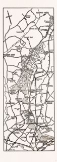 MAP UP EPPING FOREST, UK, engraving 1881 - 1884