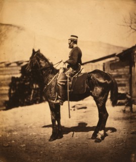Quartermaster Hill, 4[th] Light Dragoons, the horse taken immediately after the winter season,