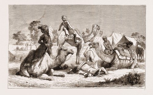 INDIA, CAMEL RIDERS OF A NATIVE CAVALRY REGIMENT PREPARING FOR A MARCH, 1876