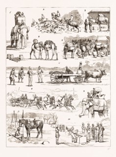 THE SHAM FIGHT BEFORE THE PRINCE OF WALES AT DELHI, INDIA, 1876: 1. Spectators. 2. Over the Wall. 3