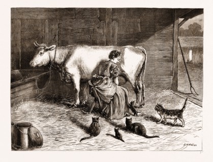 "LADIES IN WAITING" FROM THE PAINTING BY S.E. WALLER EXHIBITED IN THE DUDLEY GALLERY, UK, 1876