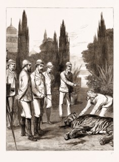 THE PRINCE OF WALES'S FIRST TIGER: JEYPORE, INDIA, 1876