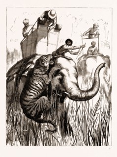 THE PRINCE OF WALES HUNTING IN THE TERAI: ONE OF THE SUITE AT CLOSE QUARTERS, 1876