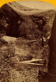 Spring in glen, Vintage photography