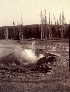 Comet Geyser, a geyser in the Upper Geyser Basin of Yellowstone National Park in the United States,