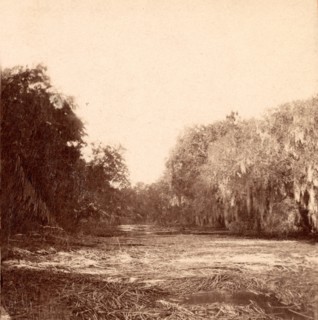 Mud Creek, Hilton Head Island, S.C., USA, US, Vintage photography