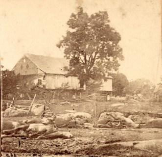 In Trossel's barnyard, Gettysburg, USA, US, Vintage photography