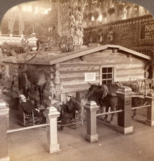 Log cabin home of President Roosevelt brought from North Dakota to the World's Fair, St. Louis, US,