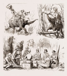 REMINISCENCES OF THE NEPAUL TERAI, 1876: 1. Hunting on a "Cuddy" Elephant. 2. Clearing a Way for