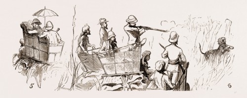 REMINISCENCES OF THE NEPAUL TERAI, 1876: 5. News from Home. 6. The Prince's Last Tiger.