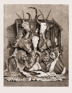 THE WILD GAME OF ASIA, HUNTING TROPHIES, 1876; ANTLERS