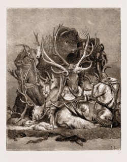 THE WILD GAME OF AMERICA, 1876, HUNTING TROPHIES; ANTLERS