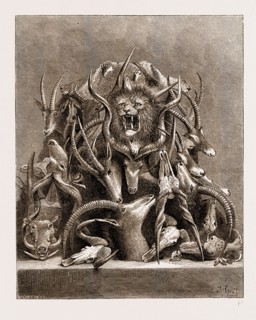 THE WILD GAME OF AFRICA, HUNTING TROPHIES, 1876; ANTLERS