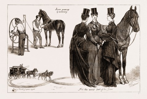 THE HORSE SHOW AT THE AGRICULTURAL HALL, ISLINGTON, LONDON, UK, 1876
