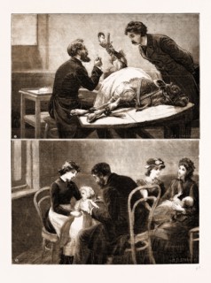 VACCINATION FROM THE CALF: 1. Distinctive Mark of Animal Vaccination. 2. Taking Lymph from the Calf