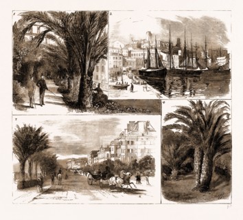 THE VISIT OF THE PRINCE OF WALES TO CANNES AND NICE, FRANCE, 1883: 1. In the Garden of the Hotel du