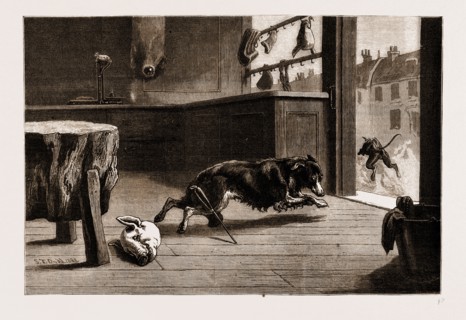 A "CORNER" IN PORK: BAFFLED, 1883