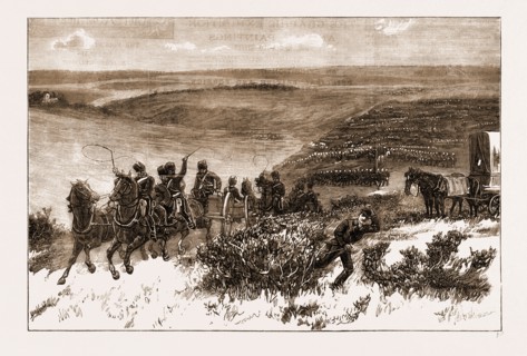 THE HONOURABLE ARTILLERY COMPANY GOING INTO ACTION ON THE DOWNS ON EASTER MONDAY, BRIGHTON, UK,