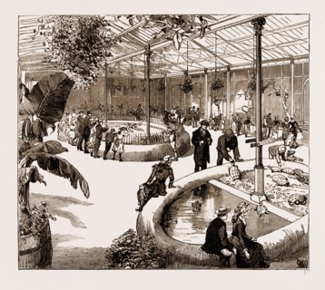THE NEW REPTILE HOUSE AT THE ZOOLOGICAL GARDENS, UK, 1883