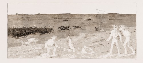TAKING FAT CATTLE TO MARKET--A STAMPEDE