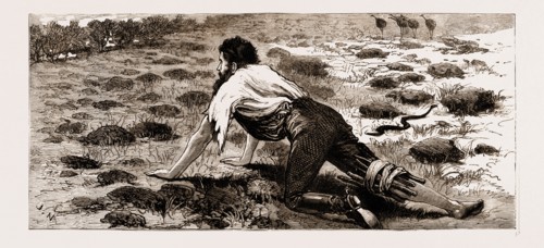 THROWN FROM HIS HORSE, A DISABLED STOCKMAN IN THE BUSH, NEW SOUTH WALES, AUSTRALIA, 1883