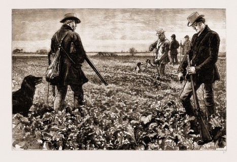 THIRLBY HALL, DRAWN BY WILLIAM SMALL, 1883; We had a very good afternoon among the turnips and the