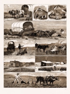 SCENES FROM AN EMIGRANT'S LIFE IN MANITOBA, CANADA, 1883: 1. Emigrants on the Way to their