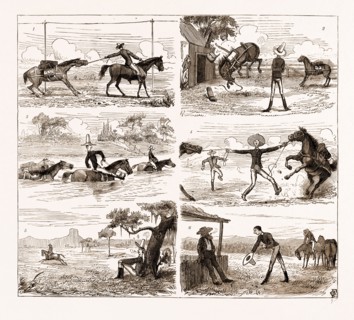 AN OVERLAND JOURNEY FROM QUEENSLAND TO SYDNEY WITH A NEW CHUM, AUSTRALIA, 1883: 1. The New Chum's