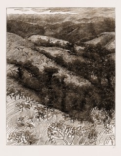 Congo Scenery on the Road to Isangila, Africa, 1883