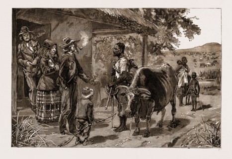 THE BOERS AND THEIR TREATMENT OF THE BLACKS: TWO YEARS' WAGES IN THE TRANSVAAL, SOUTH AFRICA, 1883