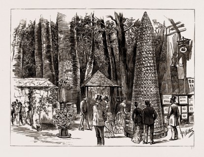 AUSTRALIAN EXHIBITS AT THE COLONIAL AND INDIA EXHIBITION, 1886: TROPHY OF MOTHER OF PEARL SHELLS,