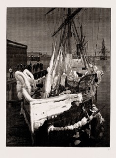 SEVERE WEATHER IN THE ATLANTIC: THE S.S. "PEDRO," AS SHE ARRIVED AT BOSTON, 1886
