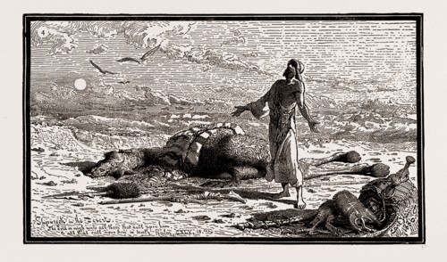 ILLUSTRATIONS FROM THE CATALOGUE OF THE ROYAL SOCIETY OF PAINTERS IN WATER COLOURS, 1886: SHIPWRECK