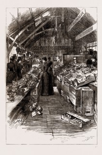 THE COLONIAL AND INDIAN EXHIBITION, 1886: THE AUSTRALIAN FRUIT STALLS IN THE COLONIAL MARKET