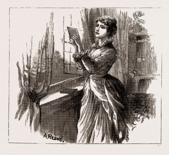 AMATEUR PHOTOGRAPHY BY A LADY, 1886: A BLANK